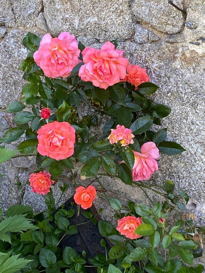Bed and Breakfast La Vaisse Ambert Exterior foto